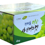 경치농원샤인머스켓 | 샤인머스켓 4KG 망고포도 화순 물덴농원 : 물덴농원