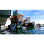 스쿠버교육 마스터과정 SCUBA DIVING Education Master Scuba Diver Course : okscuba