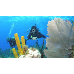스쿠버교육 마스터과정 SCUBA DIVING Education Master Scuba Diver Course : okscuba