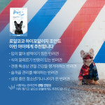 포포아코코펫푸드25시 | 펫레터 로얄코코 하이포알러지 강아지 조인트케어 반려견 관절건강 코코넛 사료 2.4kg : 넛츄