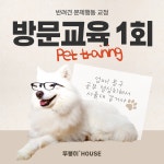 반려견 문제행동 교정_방문교육 1회 : 뚜붕이HOUSE
