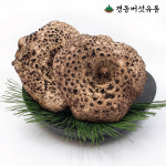 자연산 국내산 생능이버섯 안동/청송 1KG 500G : 경동버섯유통
