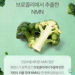 엠엔엔특허 | NMN 베타인 엠엔엔 식물성 브로콜리 아미노산 60정 2개월분 : 알앤소코떼