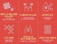 스트롱어시 | 뉴트리랩스 콜레우스 포스콜리 다이어트 컷 1,000mg x 60정 (2개월) : 하프 스타