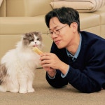 고양이영양제 퍼펙트 케어 스틱 미야옹철 김명철 수의사 치킨, 15포, 2개 : 닥터펠리스