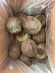 제주 한이왓농장 레드 비트 5kg 10kg : 제주한이왓농장