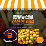 분평농산물_귤 : 원마루시장