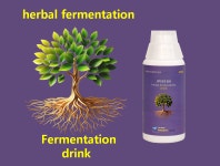 동우당제약(주) 허브인라이프 | 생약발효음료(Herbals Fermentation Drink) : 생약발효