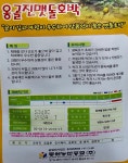 옹골찬건강원 | 옹골진맷돌호박 30립 건강 텃밭 쌈 채소 씨앗 종자 모든 : 남흥원예사