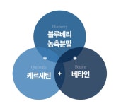 엠엔엔특허 | nmn롱라스팅 mnm 엠엔엔 식물성nmn 엠엔엔 스틱 베타인분말 60정 : 퍼스트 몰
