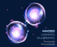 엠엔엔특허 | nmn롱라스팅 mnm 엠엔엔 식물성nmn 엠엔엔 스틱 베타인분말 60정 : 퍼스트 몰