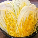 박달재김치공장 | 강원도 고랭지 박달재김치 절임배추 20kg 제천 절인배추 : 박달재김치