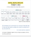1994년 제조 할배 소금 (신안 천일염) 500g : Bay green