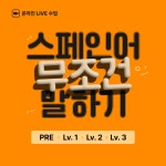 스피킹-스페인어 무조건 말하기 (온라인 LIVE 강의) : 실비아스페인어