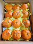 제주 쭌이네 과수원 당도선별 한라봉 3kg 5kg 제철과일 가정용 선물용 설 명절 선물용 세트 : 쭌이네 과수원