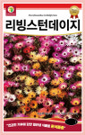 다농 리빙스턴 데이지 씨앗 1000립 혼색 일년생 야생화 꽃 씨앗 씨 종자 : 장보고팜