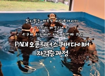 제주도 프라이빗 PADI 오픈워터 스쿠버다이버 자격증 교육 : 씨플로우다이빙센터