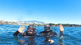 제주도 프라이빗 PADI 오픈워터 스쿠버다이버 자격증 교육 + 숙소2박 패키지 : 씨플로우다이빙센터
