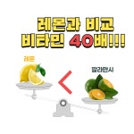 호아마이 냉동 깔라만시 400g(1+1) : 호아마이