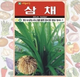 삼채 종자 100립 영양소 덩어리 부추 씨앗 : 농업회사법인 사천원예농업