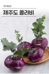 한이왓 농장 제주 콜라비 5kg 10kg 15kg : 제주한이왓농장