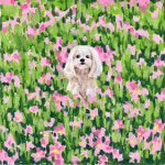 온지온실 | 맞춤제작 반려동물 초상화 강아지 고양이 그림 동화 일러스트 감성 오일파스텔 핸드메이드 : 온지온실