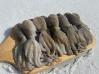 대왕 선동 활 쭈꾸미 1kg : 수산물 사장님