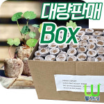 패스트박스(주)_가재울센터 | Peat pellet 피트펠렛 40mm _ 1박스 (1000개) : 주 조이가든센터
