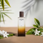 2025 로에베 솔로 엘릭서 오드퍼퓸 플로럴 우디 파우더리, 50ml, 1개 : 듀씨엘 공식 스토어