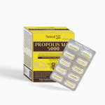네추럴엔젯코리아 | 네추럴엔젯 프로폴리스 맥스 5,000mg(PFL70) 90베지캡슐 (3개월분) : 하루한줌 건강연구소