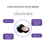 아세아TAX에듀컨설팅 | 자보티카바 아세로라농축 자보티카바쓰리셀 자보티카바퓨레 60정, 1개 : TXG생활건강