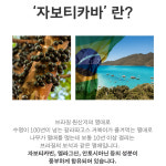 아세아TAX에듀컨설팅 | 자보티카바 아세로라농축 자보티카바쓰리셀 자보티카바퓨레 60정, 1개 : TXG생활건강