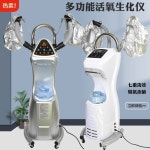 염색 증기 이발소 화이트 미용실 스팀기 파마 스티머 두피 화이트 살롱기기 : 그레이스MARKET