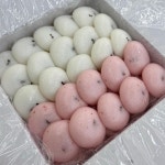 부산기정떡잔기지떡;판기지떡 | 100% 국내산 부산 오색 잔기지떡 맛집 기정떡 기증떡 증편 술빵 술떡 아침대용 간식 : 정담기지떡 부산강서점