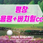 평창에서 2색cc로 양일다르게 라운딩하는 용평버치힐cc 1박2일골프 : 일박이일자이언트골프