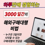 이대표의 3000일간의 노하우,영혼까지 갈아넣은 구매대행 아마존 꿀팁 실전 매뉴얼(PDF 전자책) : 쇼핑FLEX