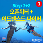 PADI 오픈워터+어드밴스드 스쿠버다이빙 자격증 코스 : 니모만세