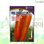 허니멜론아그로 | 봄 가을 허니베타 7촌 당근 씨앗 씨 종자 : 아그로피아