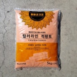 황토흙벽돌집친환경민박 | 황토몰탈 흙벽돌집 황토집짓기 흙집 : 소년 컴퍼니