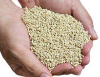 누리찰보리 5kg : 단골쌀집