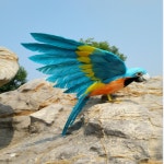 새폼 및 깃털 수공예 코스프레 정원 장식 선물 약 40x60cm 퍼지는 날개 a1809 : 제케물산