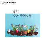 원데이 퇴고 클래스 하루에 배우는 내 글 내가 고치는 법 : 북도슨트