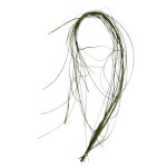 자연愛두피스켈프 | 인조켈프 - sea grass (KP006S, KP006L) : 카스리프팜
