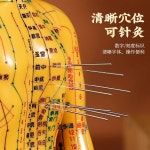 경혈 마네킹 한의원 한의학 전신 침술 동인형 인체 : 코코글로벌2025