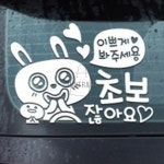 이쁘지움유통 | 이쁘게봐주세용초보잖아요 화이트시트지 데칼스티커 차량스티커 : 프리유통