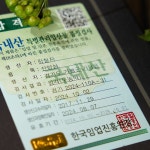 이장형님네 산속농원 가평 9년근 씨(종자) 프리미엄 산양삼 1뿌리 : 마켓경기