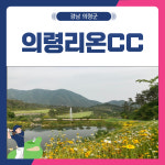 더케이골프의령리온CC점 - 4325 | 1~2월 의령리온CC 1박2일 골프 패키지 : 골프여행닷컴 국내골프