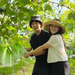 경치농원샤인머스켓 | ★2026 햇 샤인머스켓★ 삼성현농원 프리미엄 고당도 샤인머스켓 (2kg/4kg) : 삼성현농원