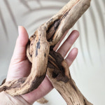 천연나무 유목 테라리움 비바리움 장식용 (8cm 15cm 20cm 내외) 선택 : 실바리움