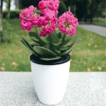 식물 자동급수 그린팜 | 그린러브 자동급수 화분 2p세트13x14cm 인테리어화분 반려식물 자동물주기 : vardag